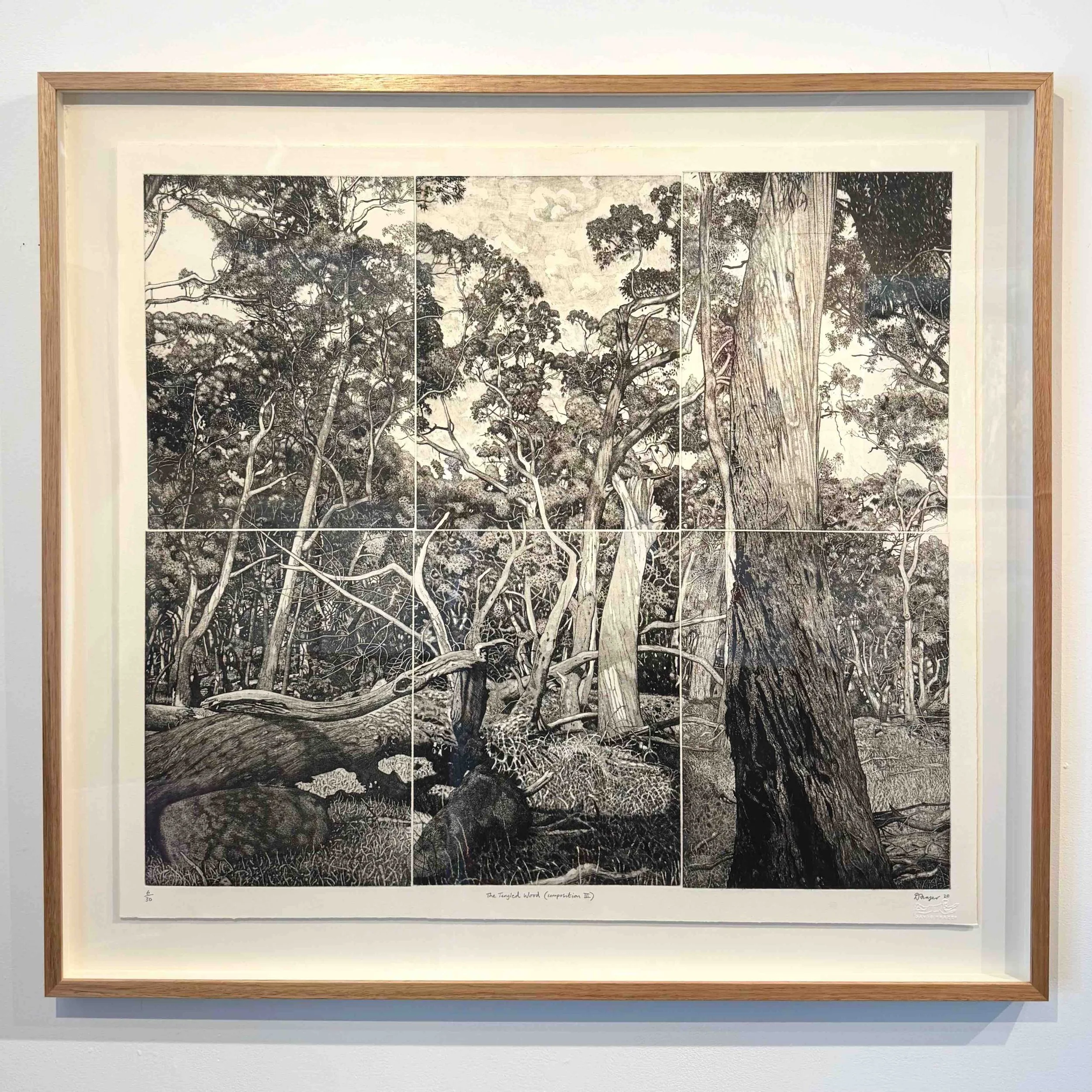 David Frazer | The Tangled Wood (composition III) — Day Gallery